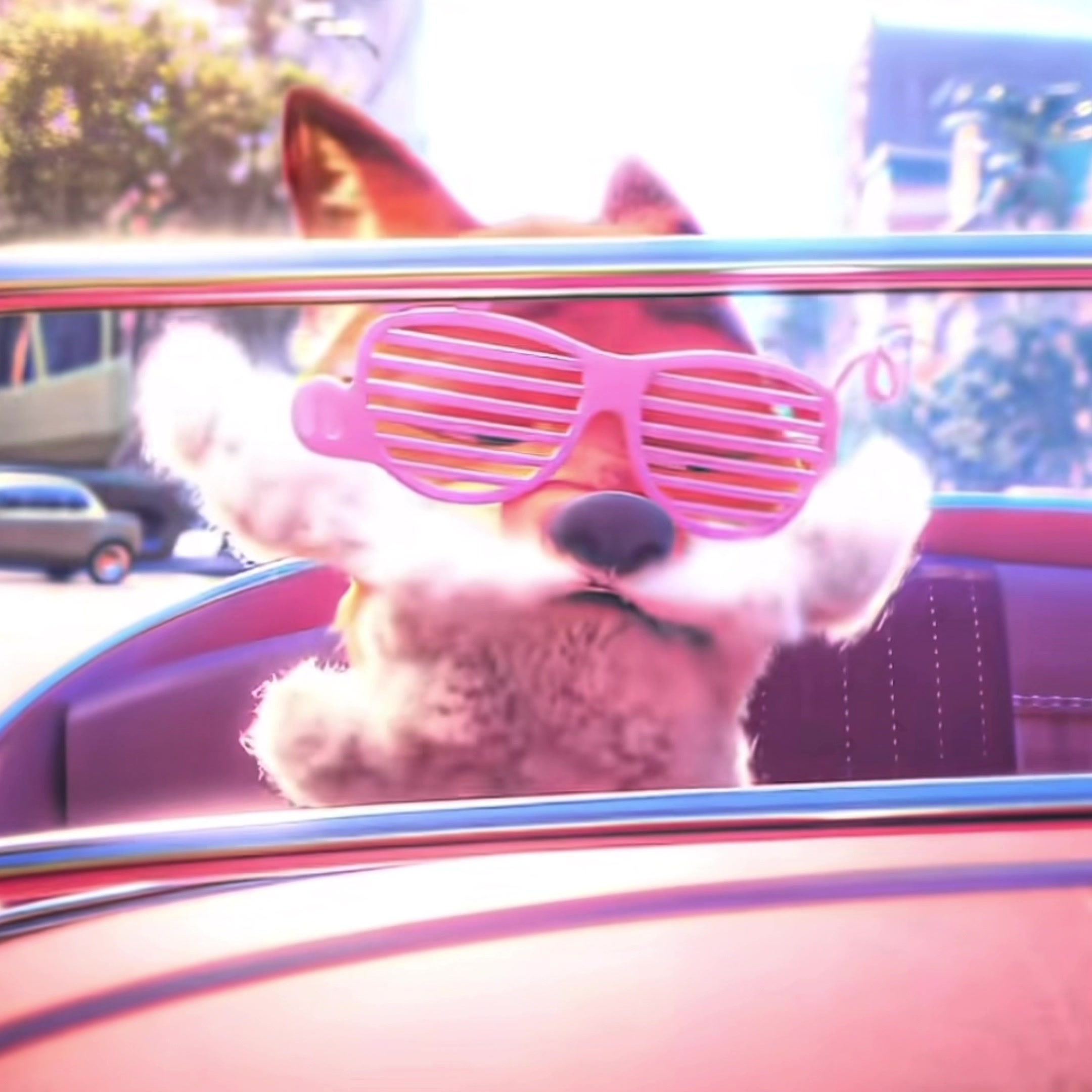 @𝑩 𝑶 𝑶 𝒅 𝑵 𝒀 🦊