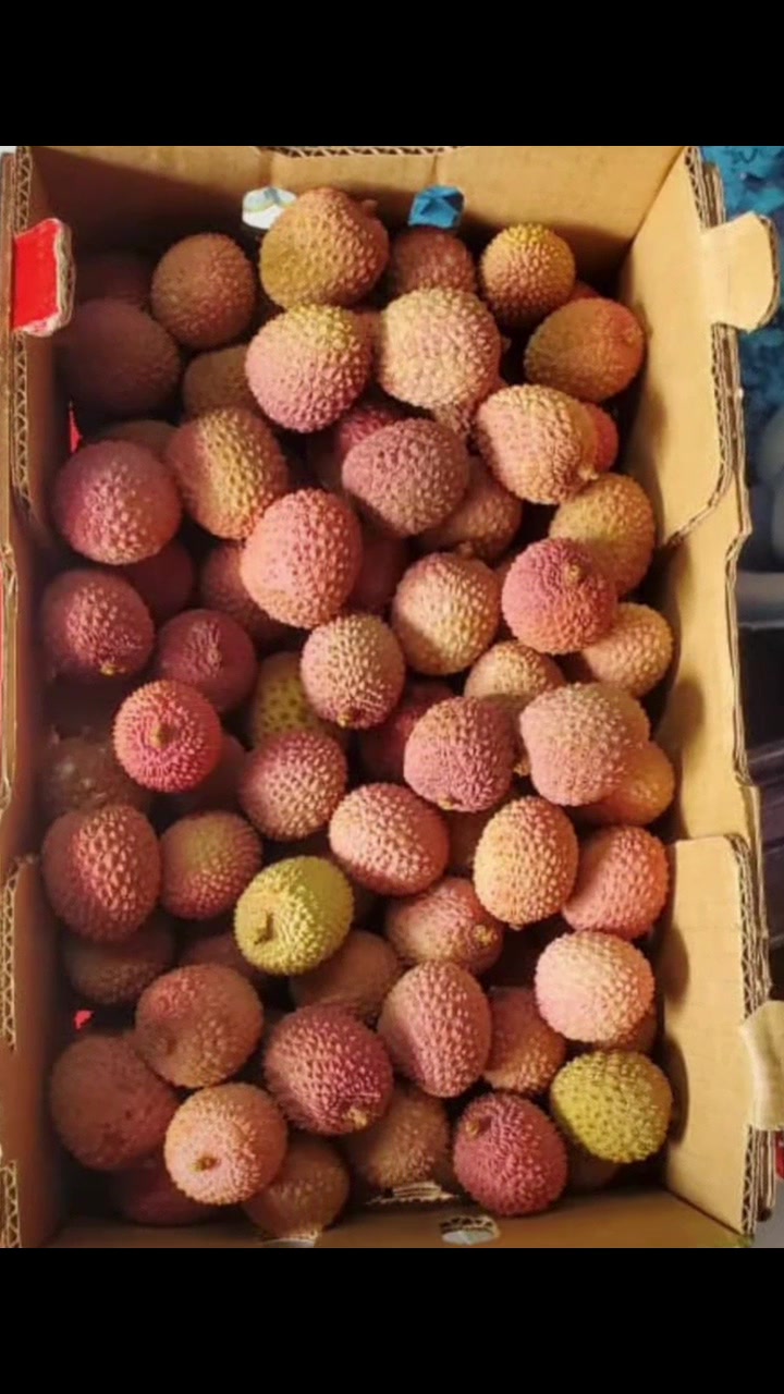 @Fruity Box🍇🍏🍌🍊🍎🥭