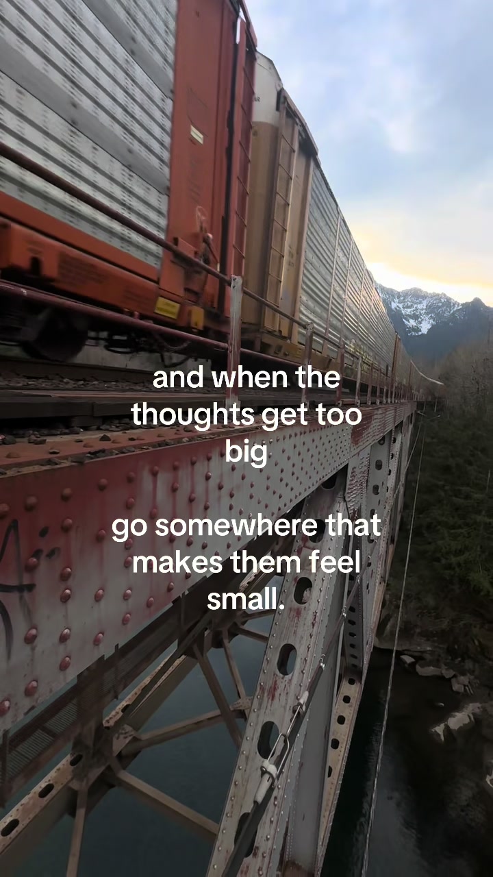 @ani