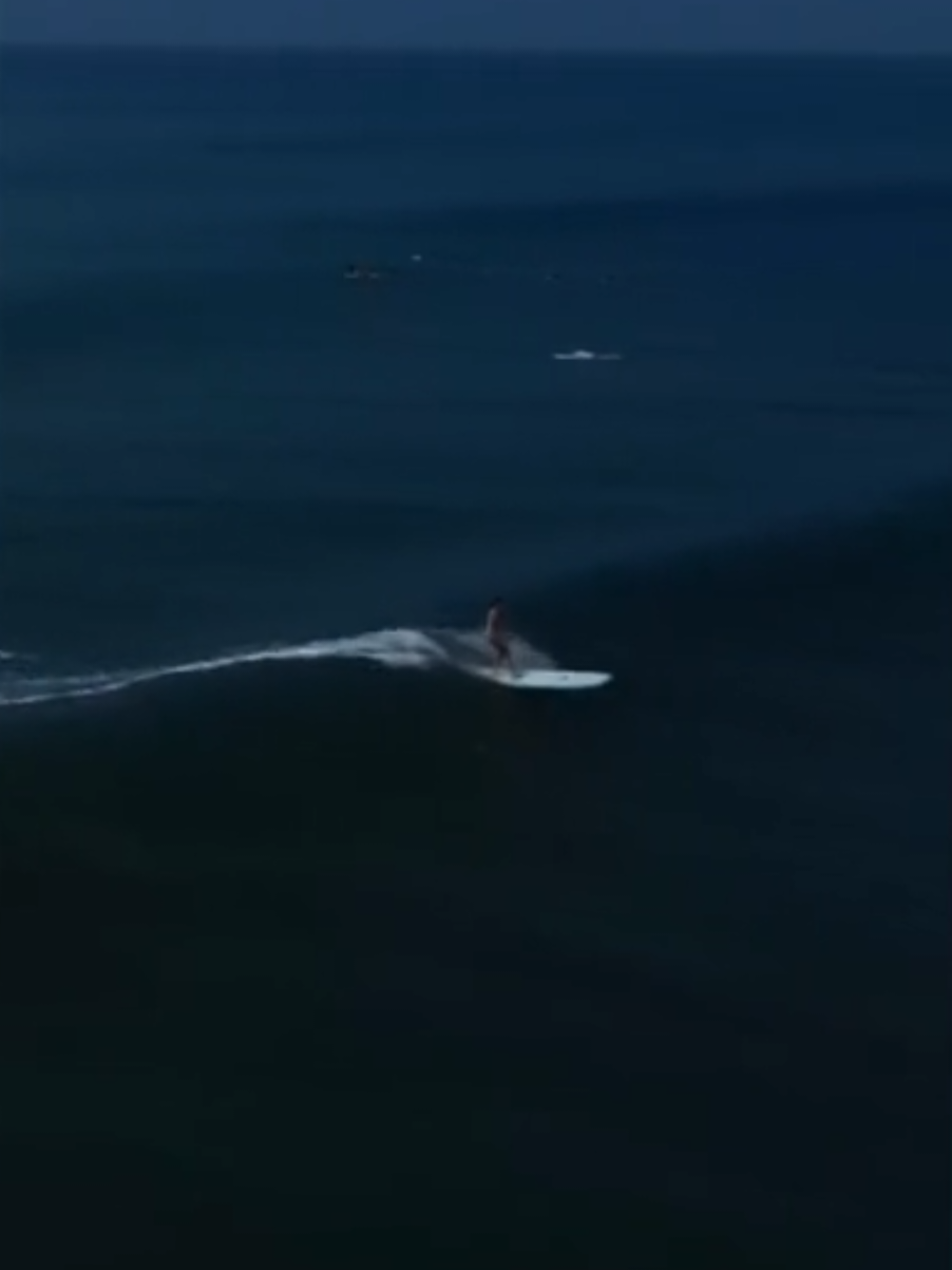 @Otua🪼surf