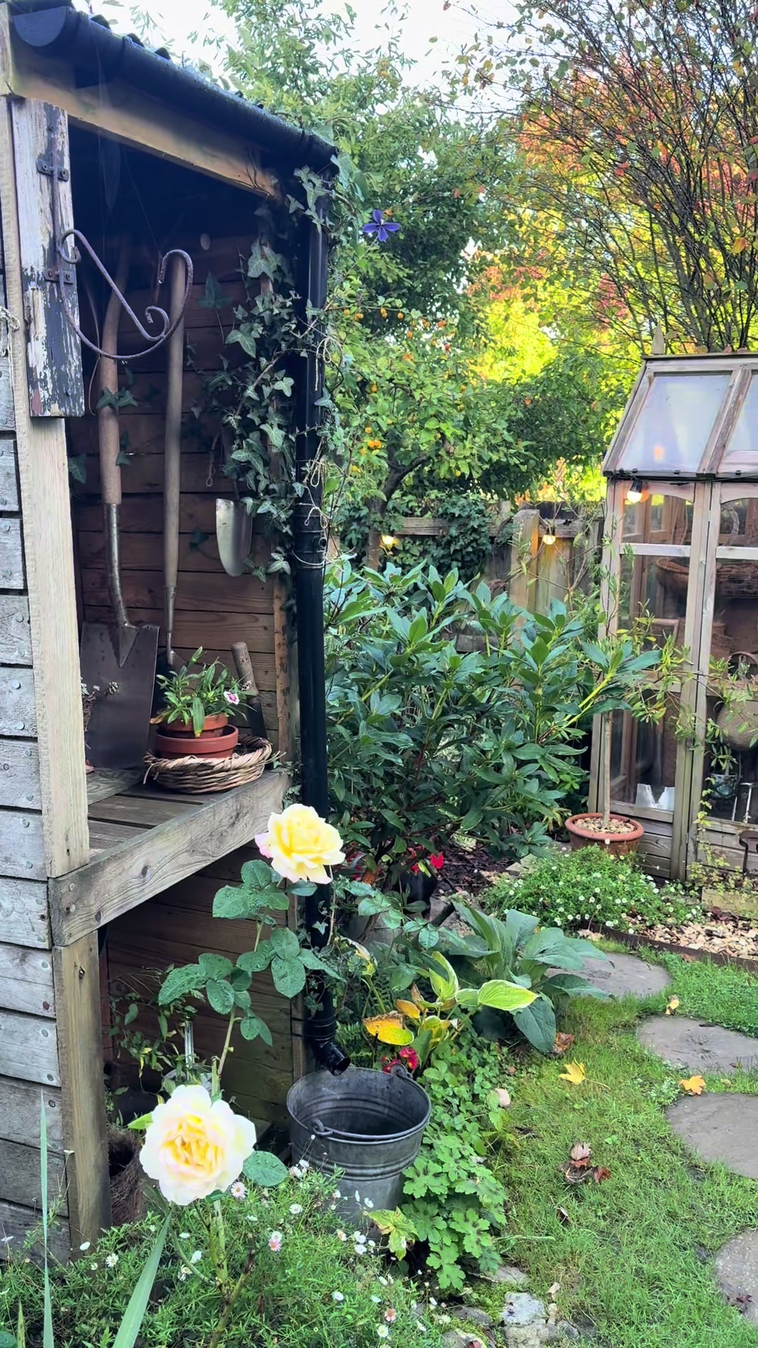@Brookcottage