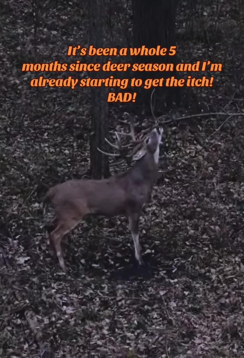 @🦌 Megabucks Outdoors 🦌