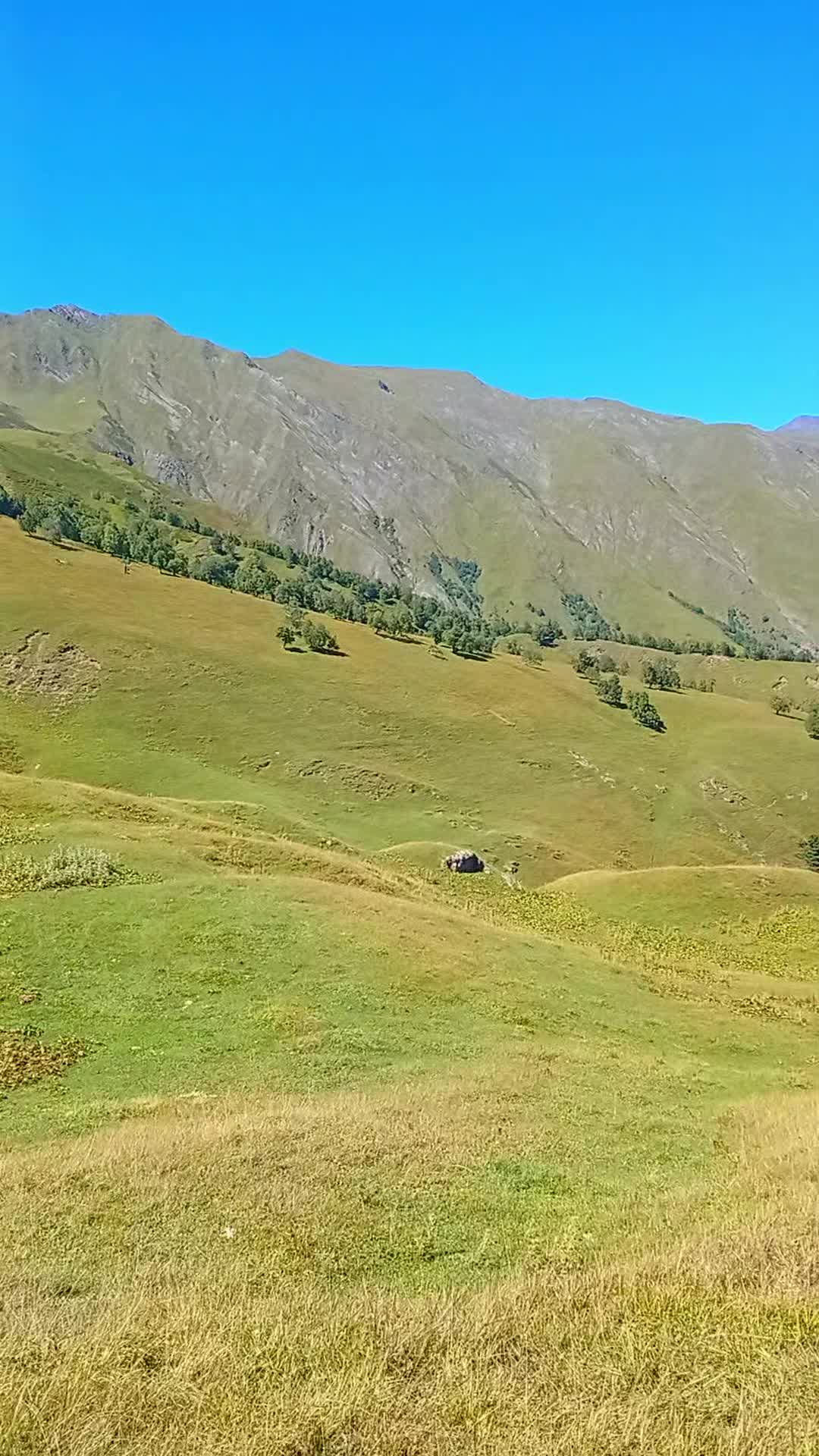 @Дагестан05