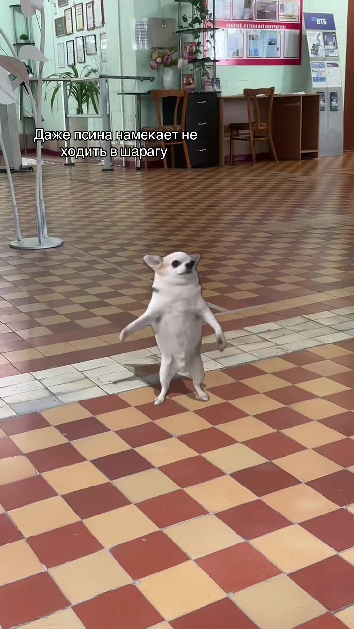 @m’ddvs