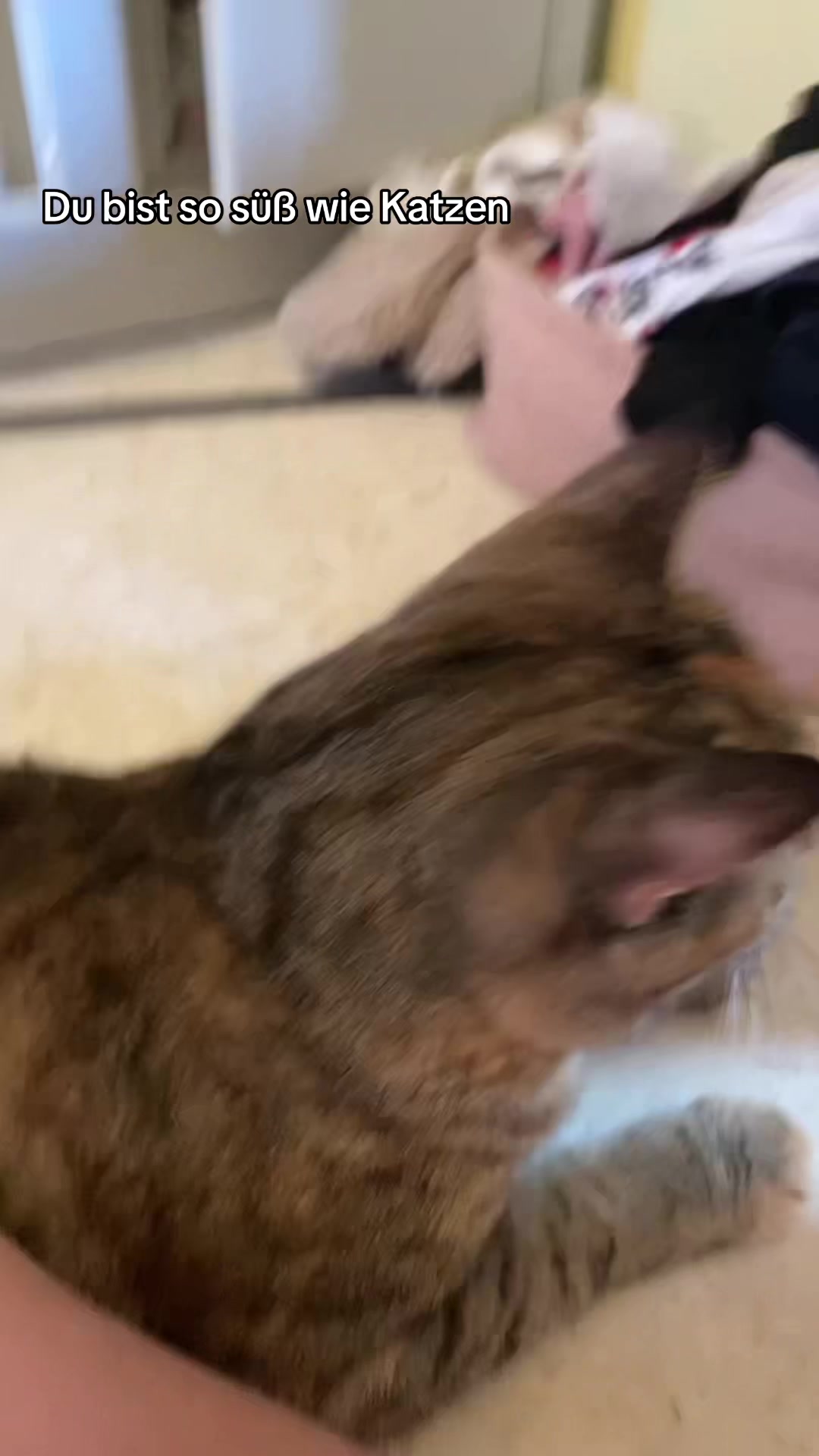 @𝕄𝕖𝕝𝕚𝕟𝕒🦈 ྀིྀི