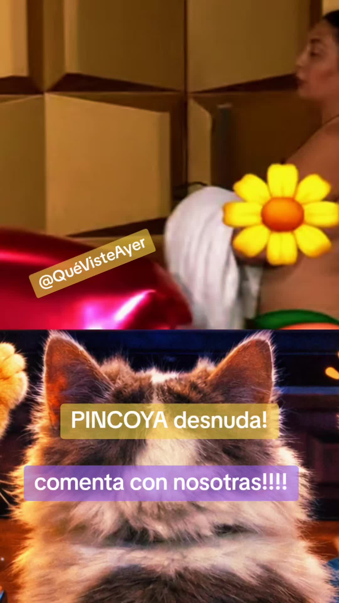 @Qué Viste Ayer