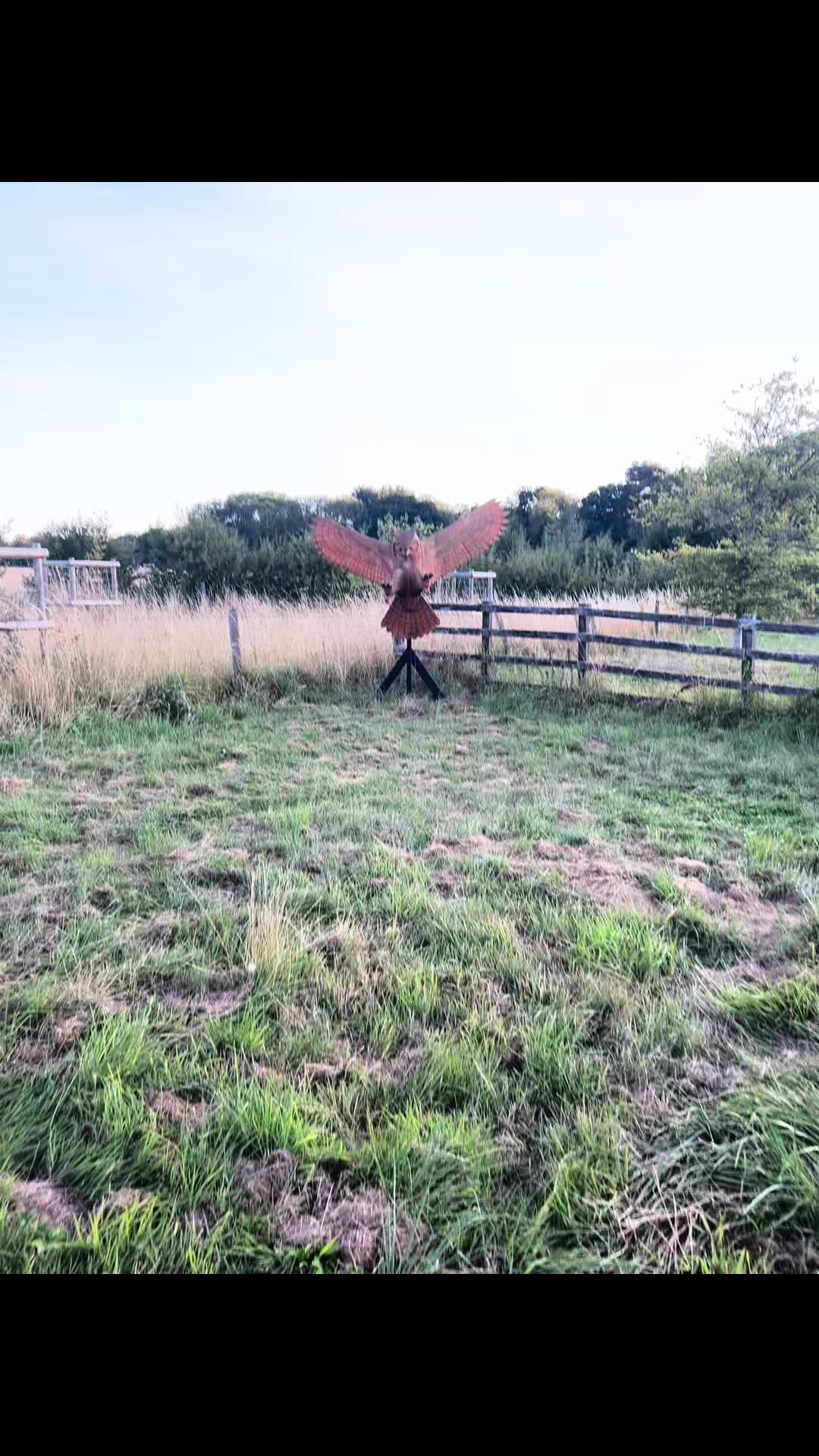 @GoldenBoyCooper