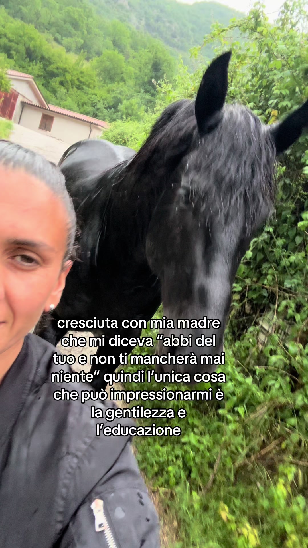 @black_the_friesian