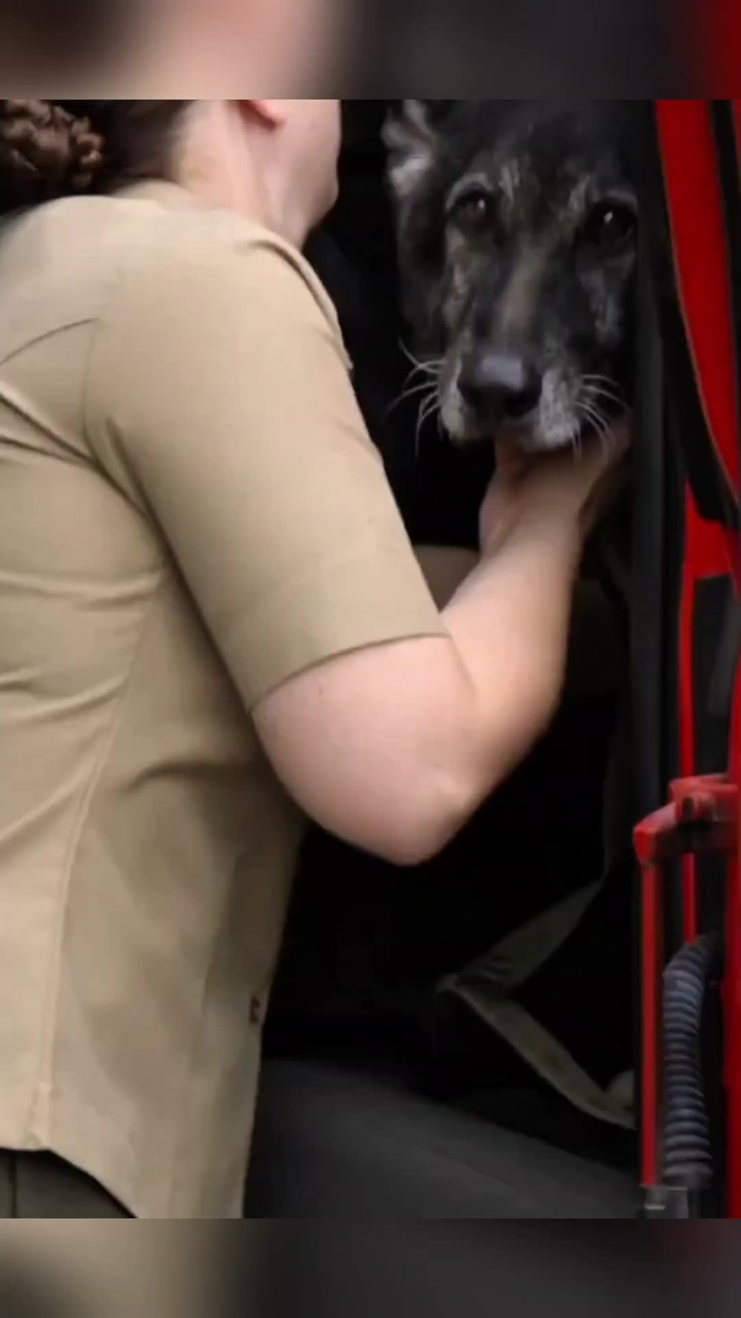 @K9dog Farewell