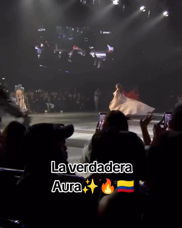 @las_top1