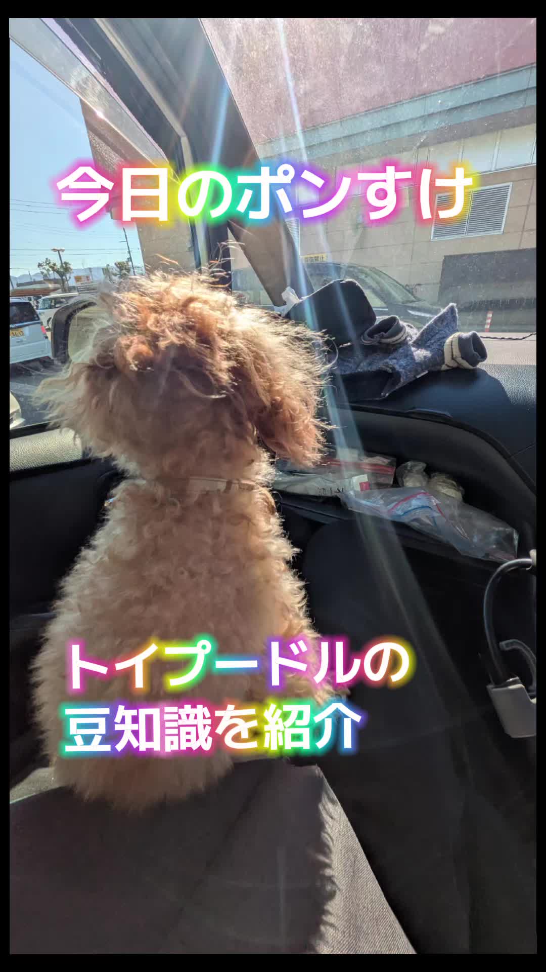 @よしポン弾丸ランナー