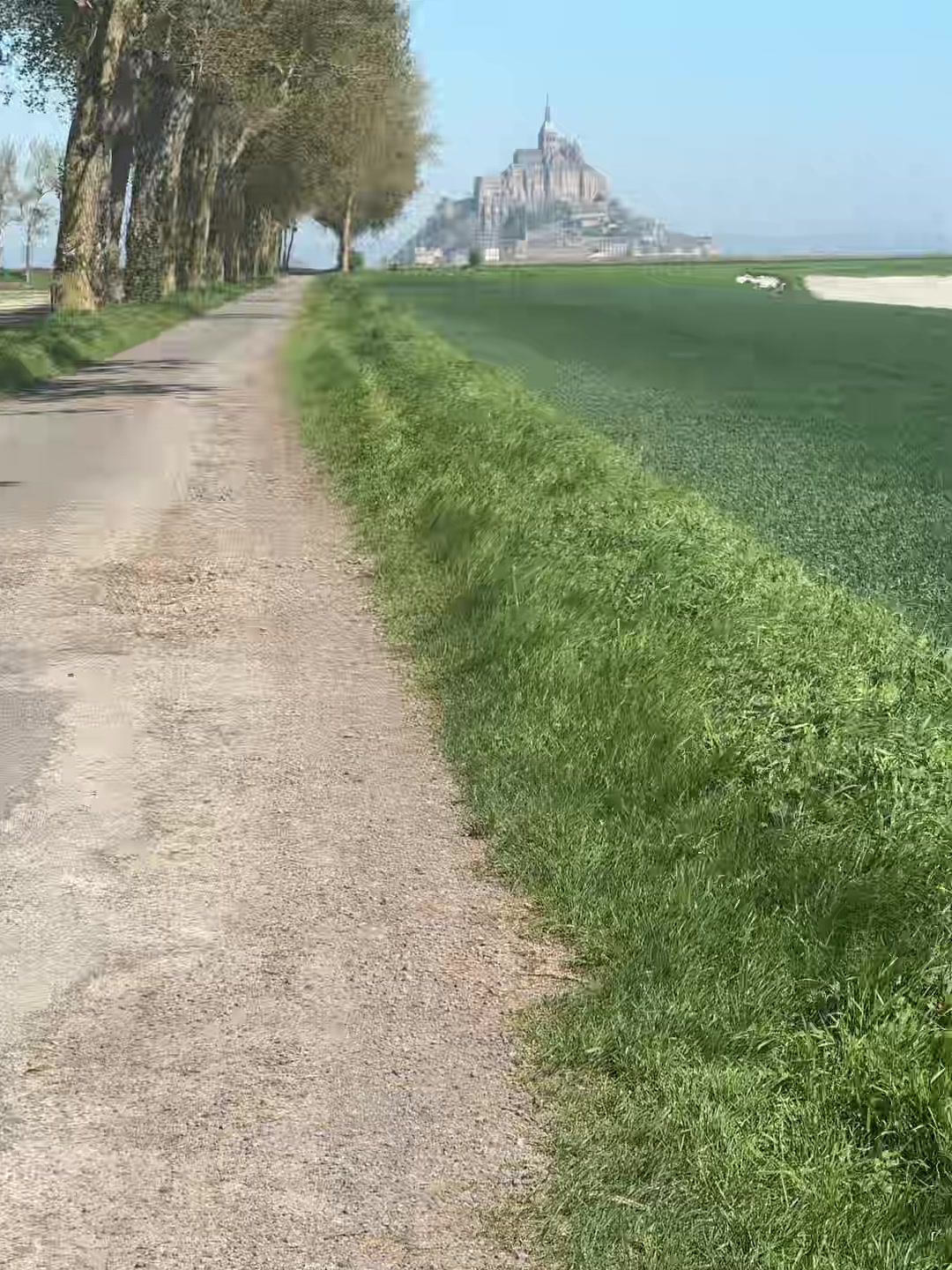 @сато няшка
