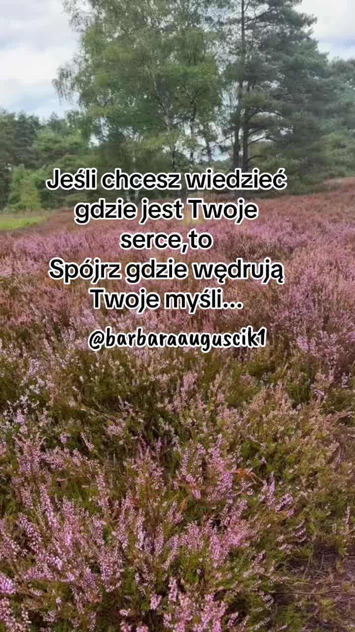 @barbaraauguscik1๐ต๐ฑ๐ฉ๐ช
