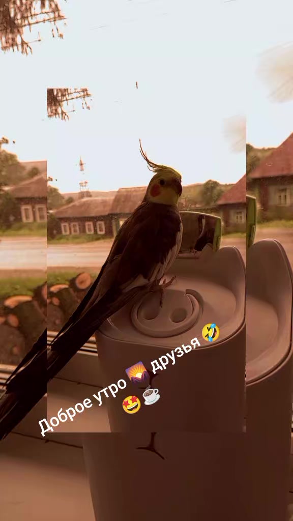 @Натали 🥰🥰🥰🥰☑️☑️☑️