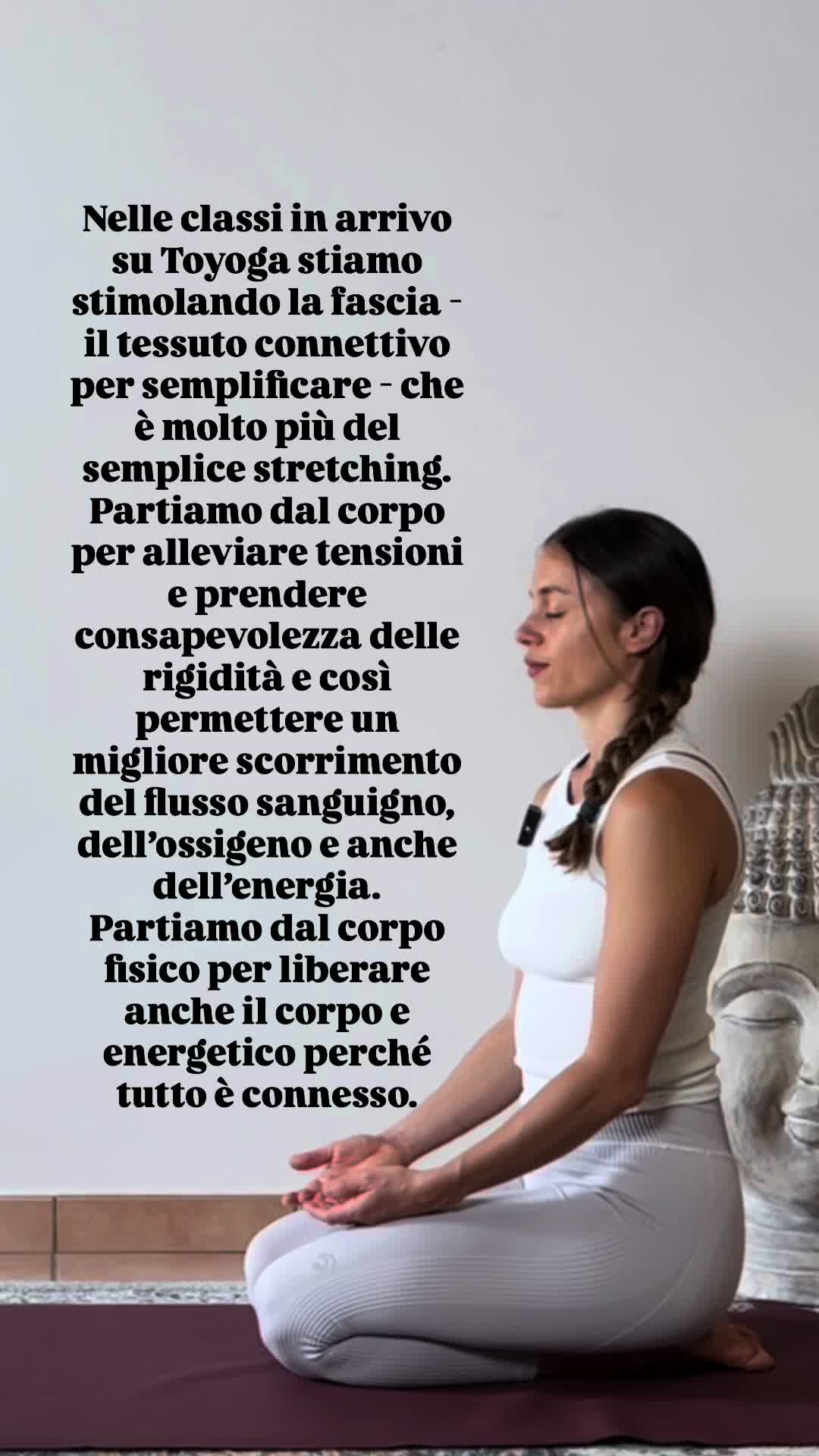 @Toyoga