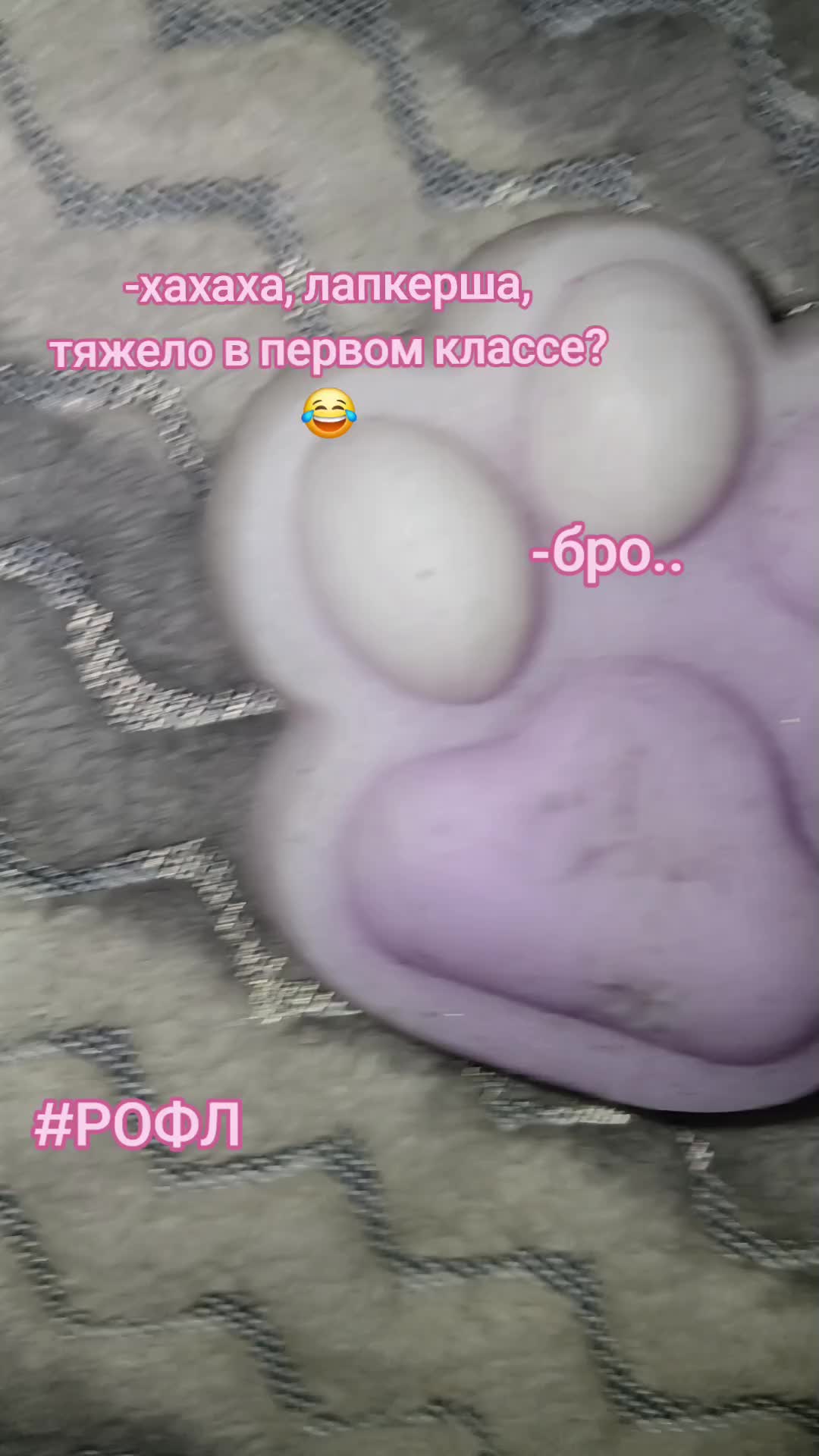 @☆luni☆