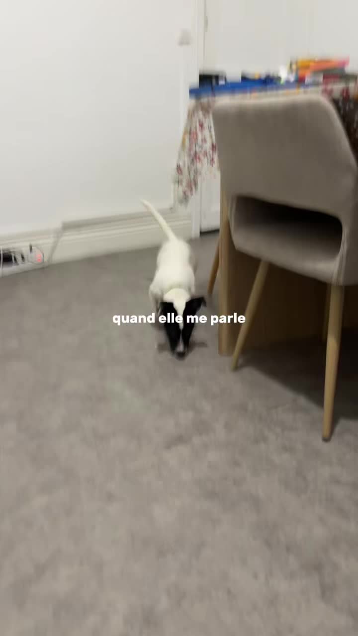 @jtfd0603