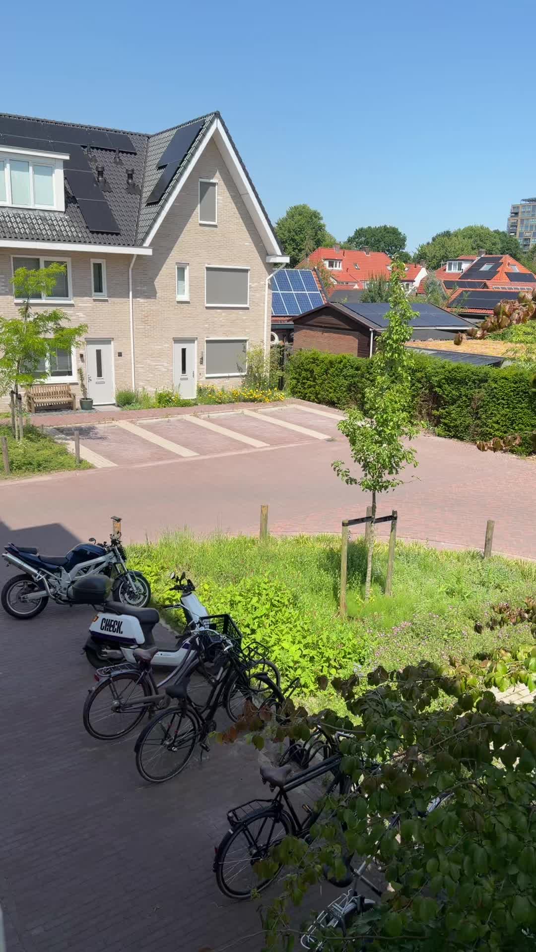 @+31🇳🇱 ⵣ