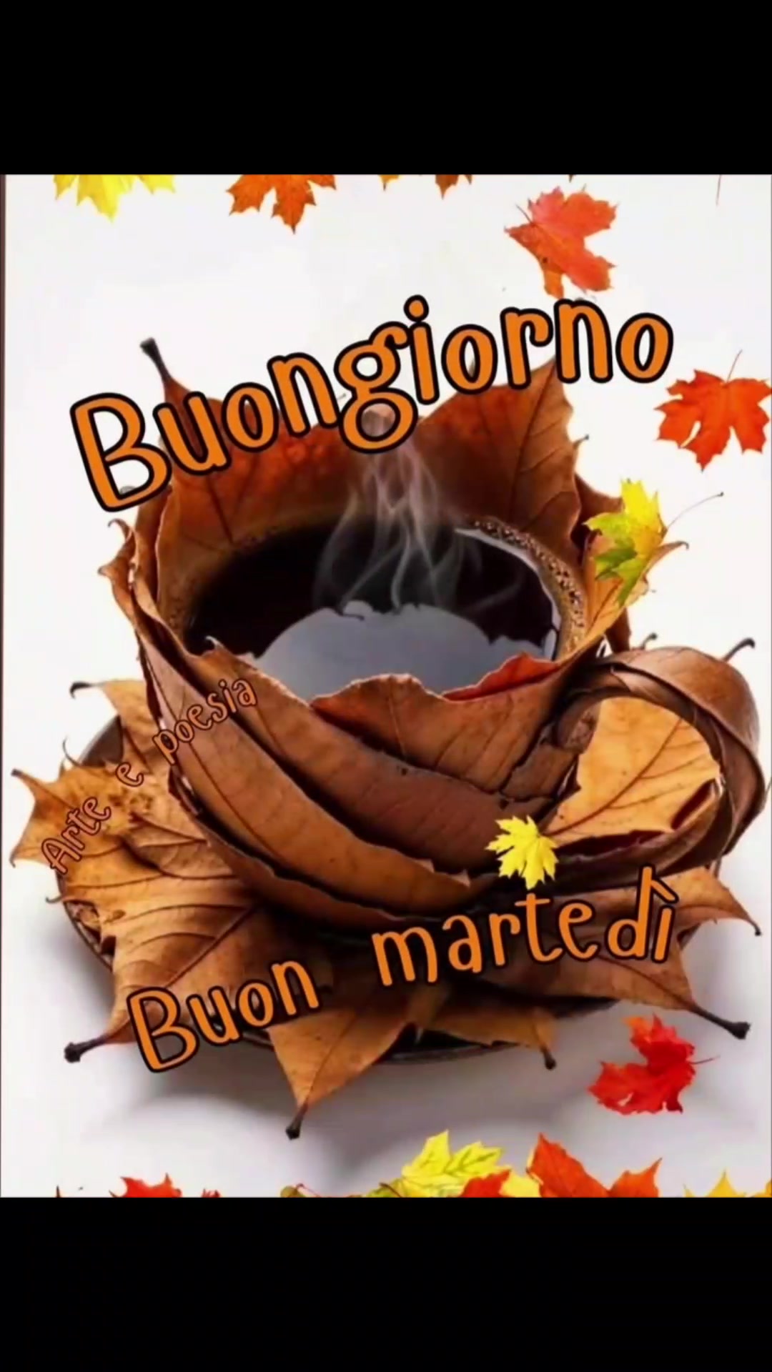 @alessandramarchi726