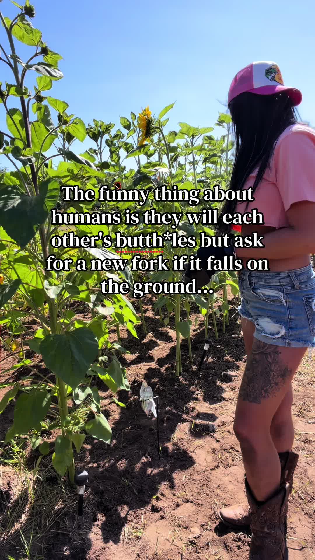 @MNaveragemom