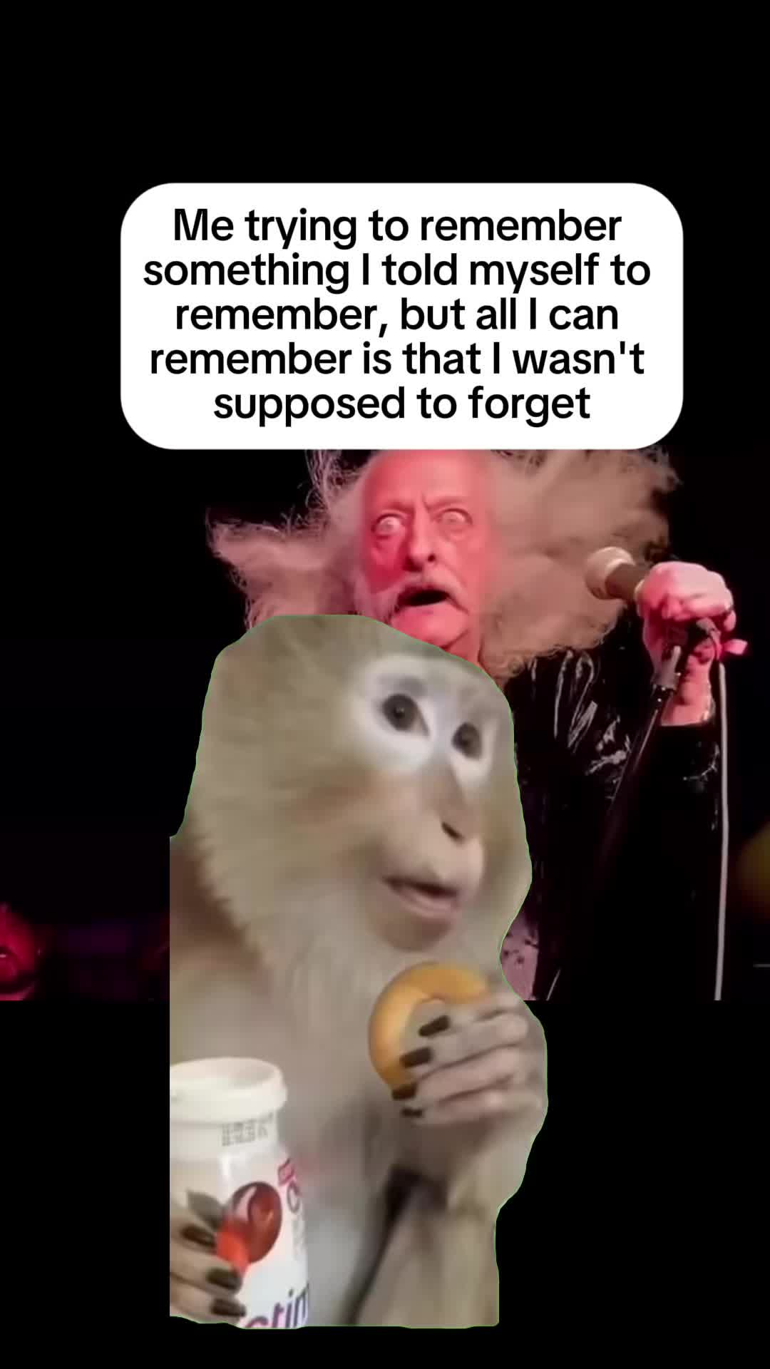 @Capo66🅱️666