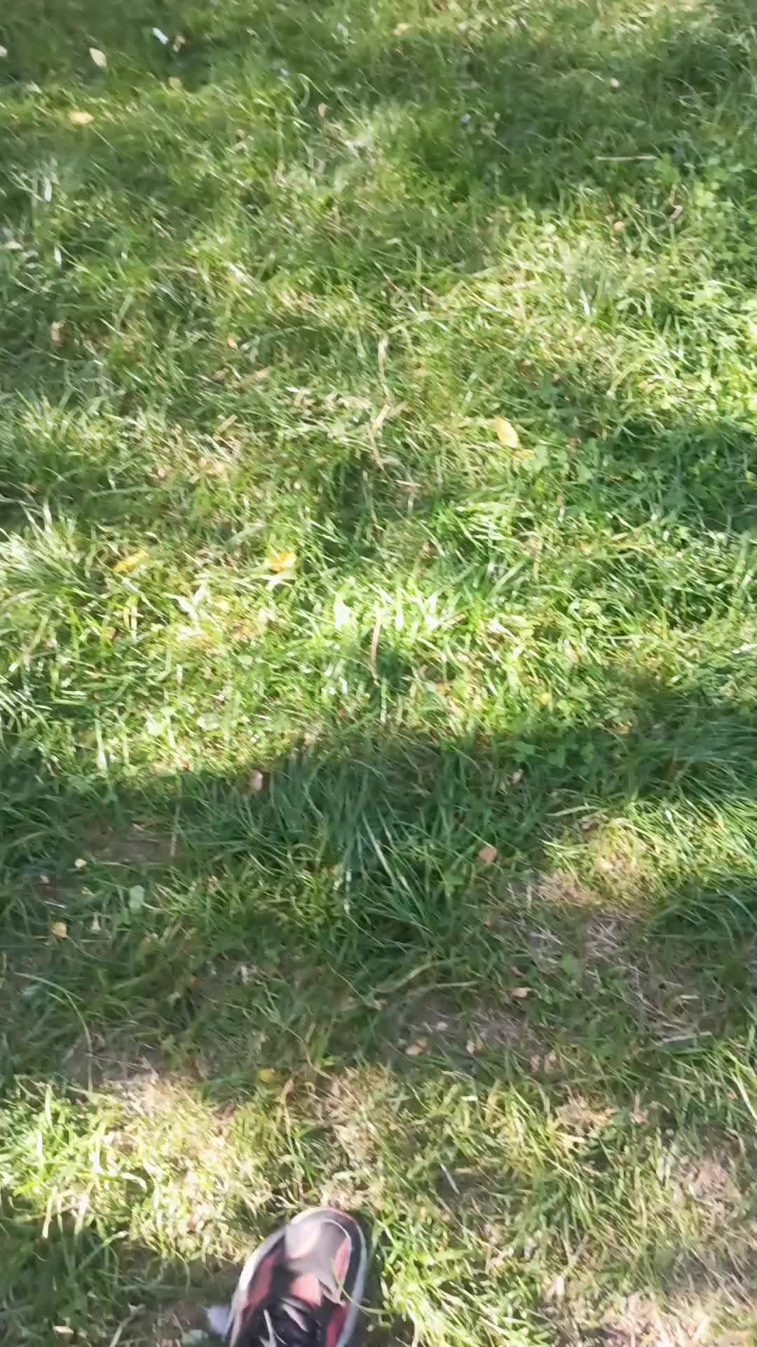 @upadły anioł