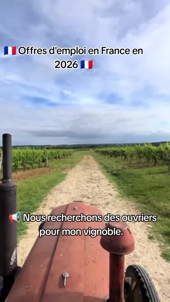 @user54934111670