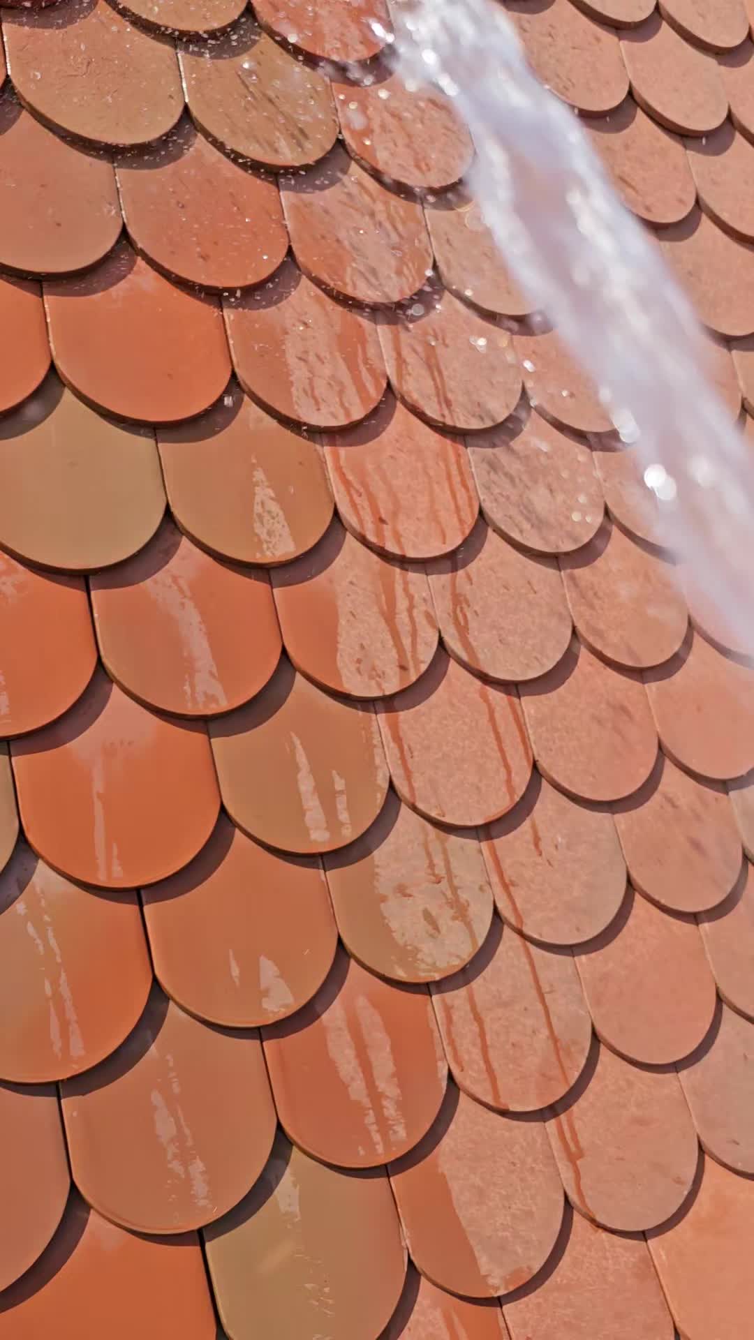 @𝕾𝖙𝖞𝖑𝖊 𝕯𝖆𝖈𝖍