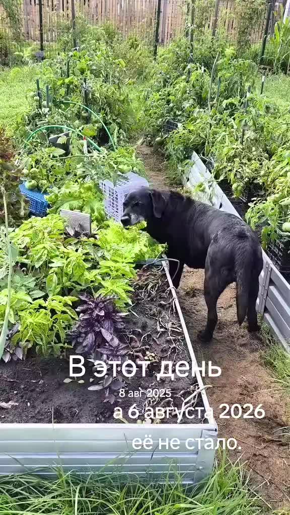 @Женя Садовая
