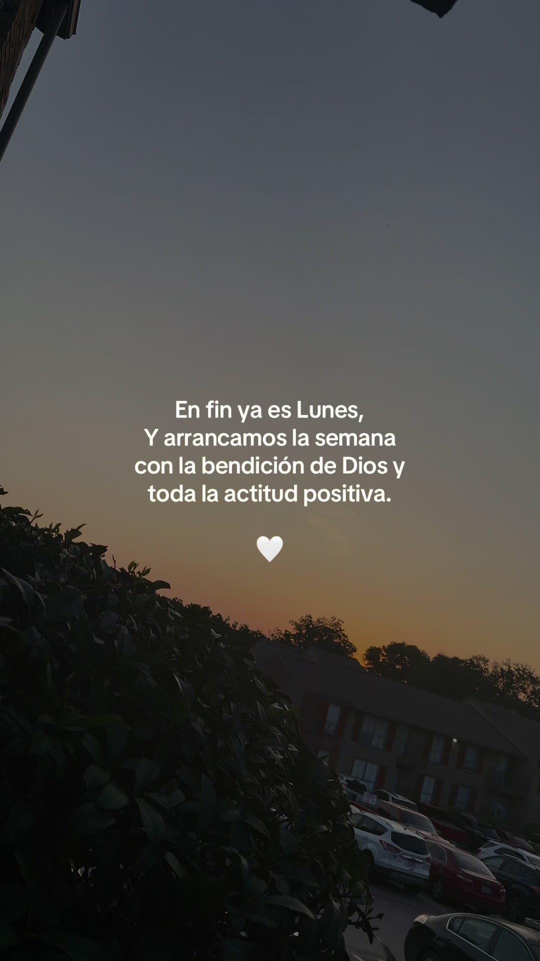@🌻✨𝐸𝐿𝐼𝒵𝒜𝐵𝐸𝒯𝐻✨🌻