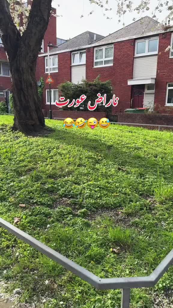 @Mehreen_Ahmed