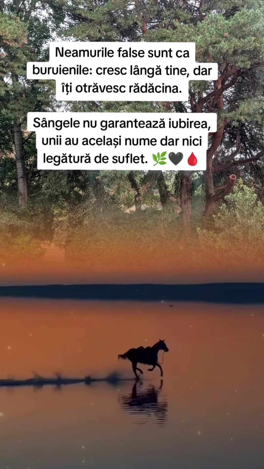 @Nadir🏹_Ndr