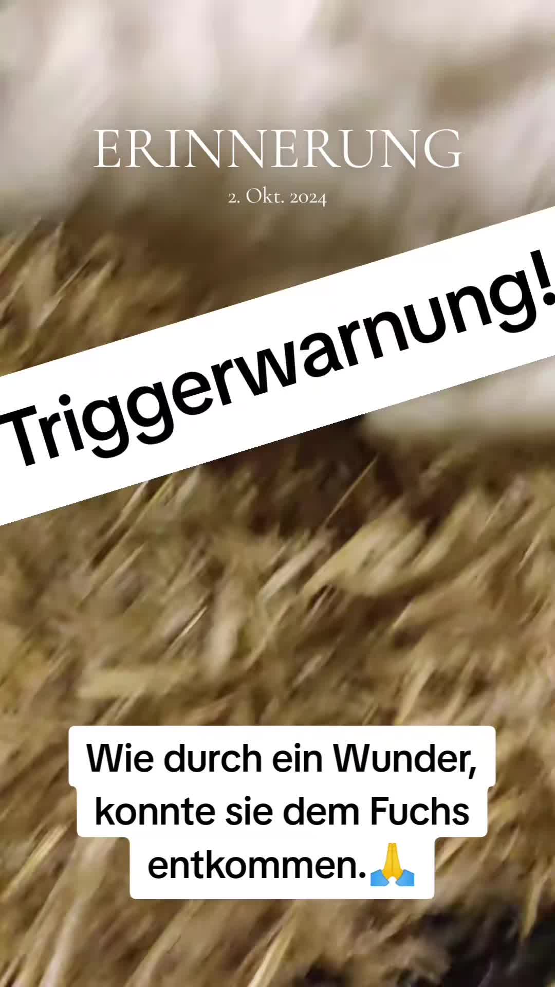 @DieSelbstvOrsorger