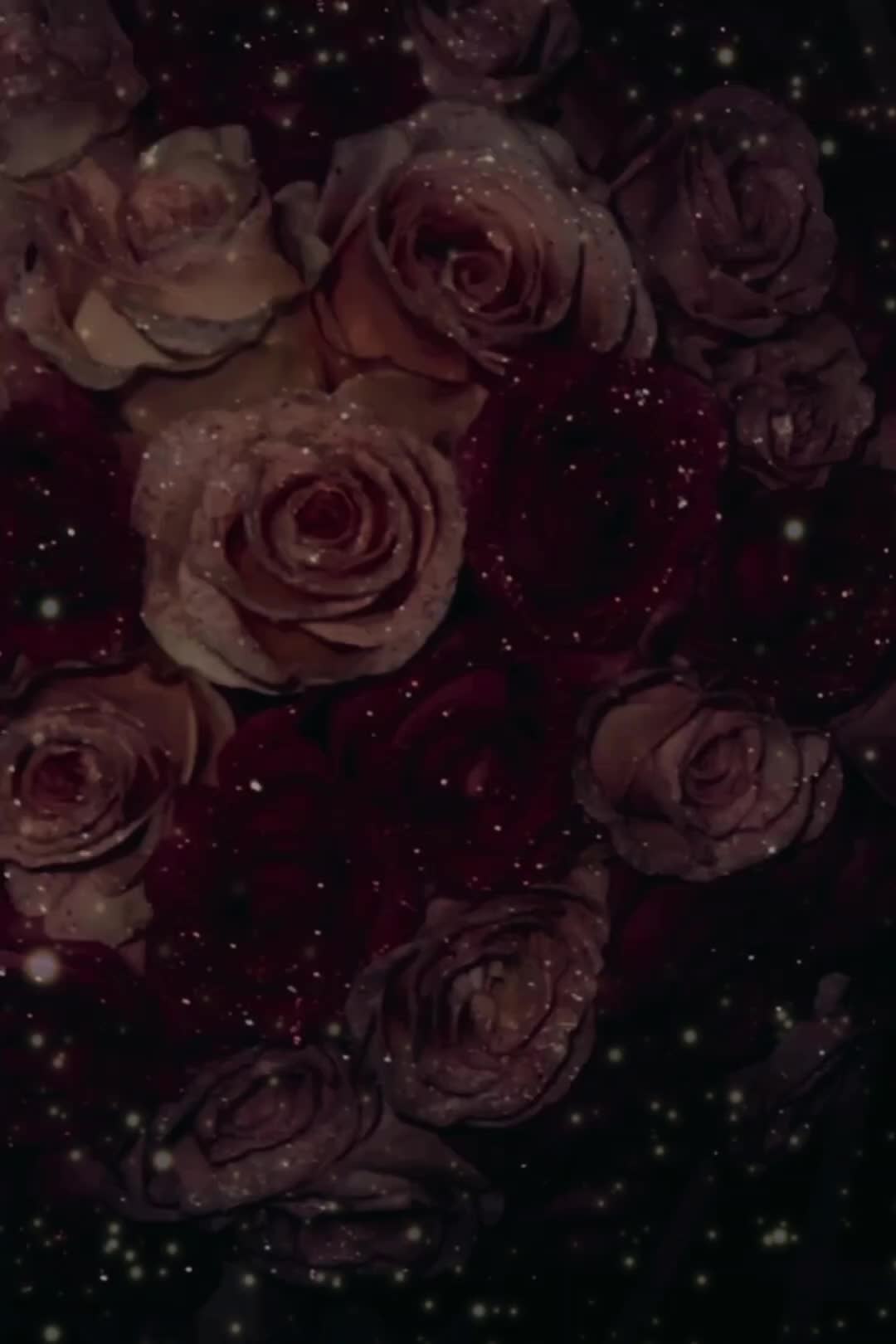 @🌸⃤_𝓞𝓷𝓮&𝓞𝓷𝓵𝔂_🌸⃤
