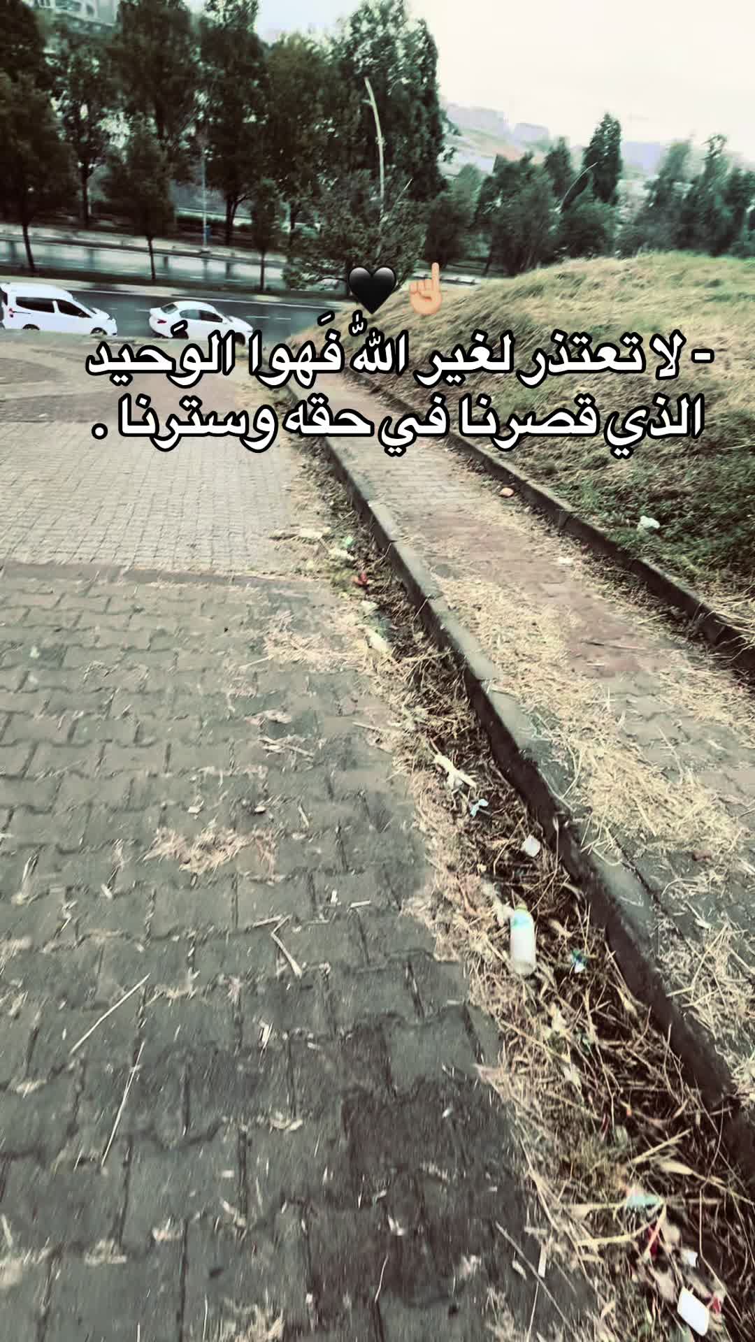 @﮼حسون