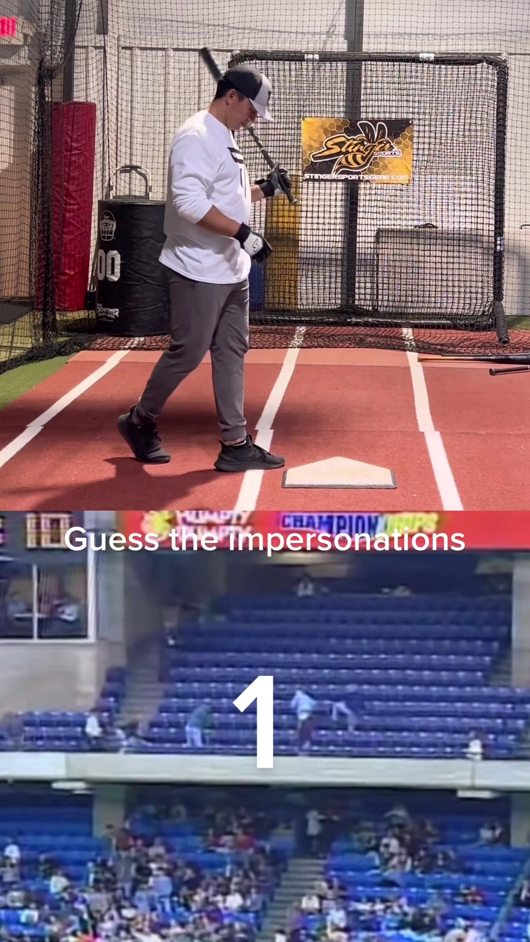@Stinger Sports