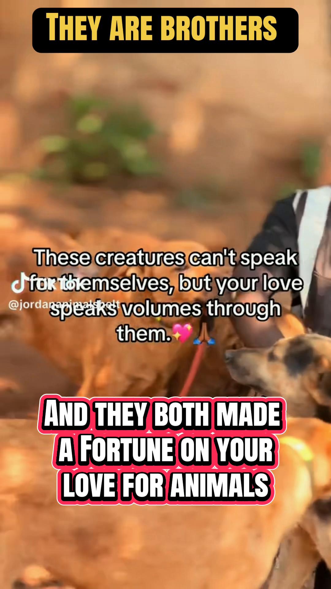 @SICK OF ANIMAL SCAM