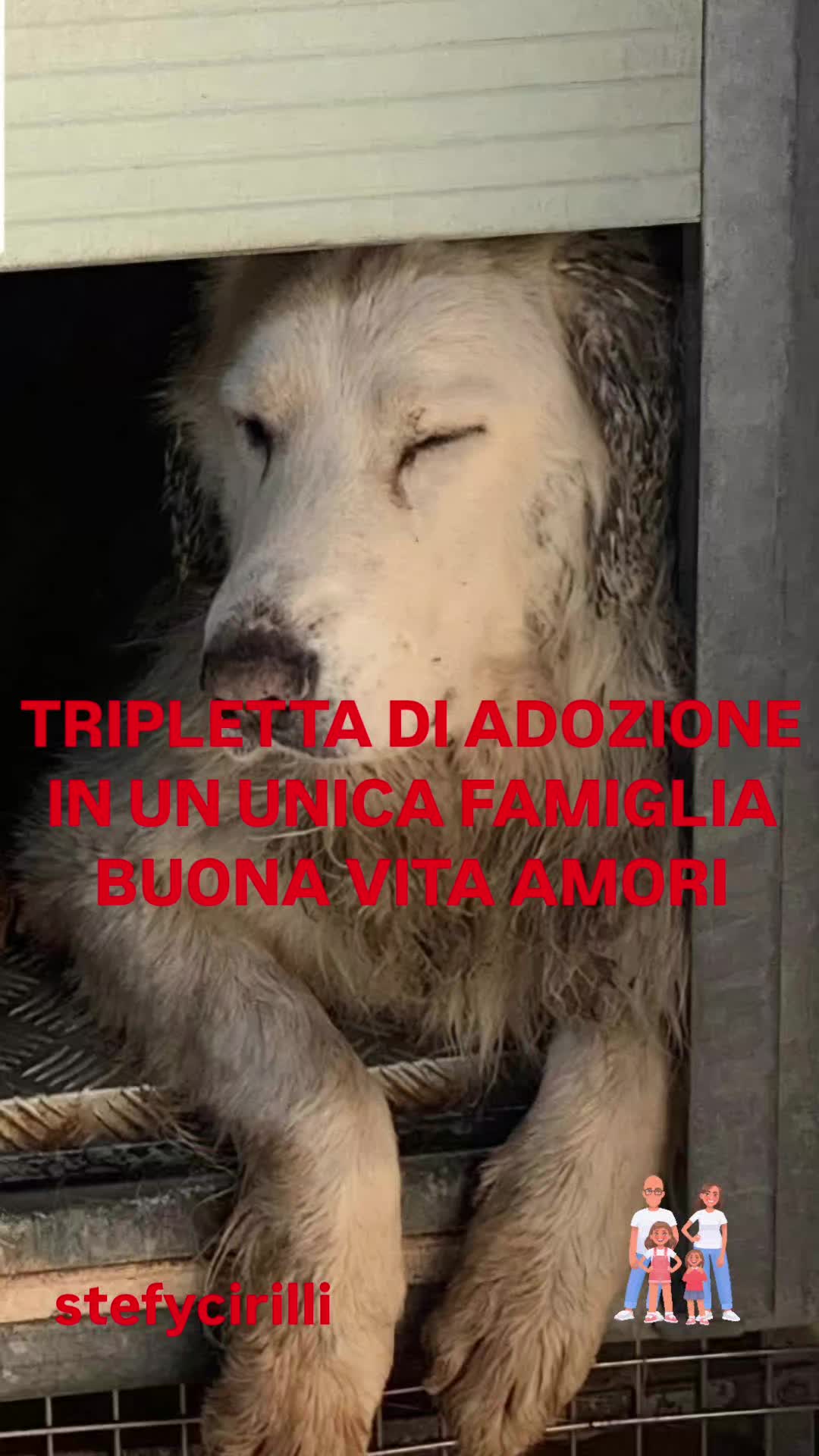 @Stefy Cirilli