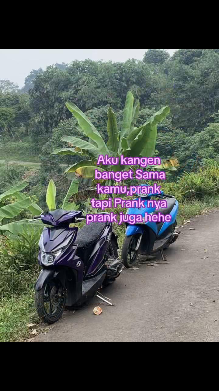 @rfzyshywhy