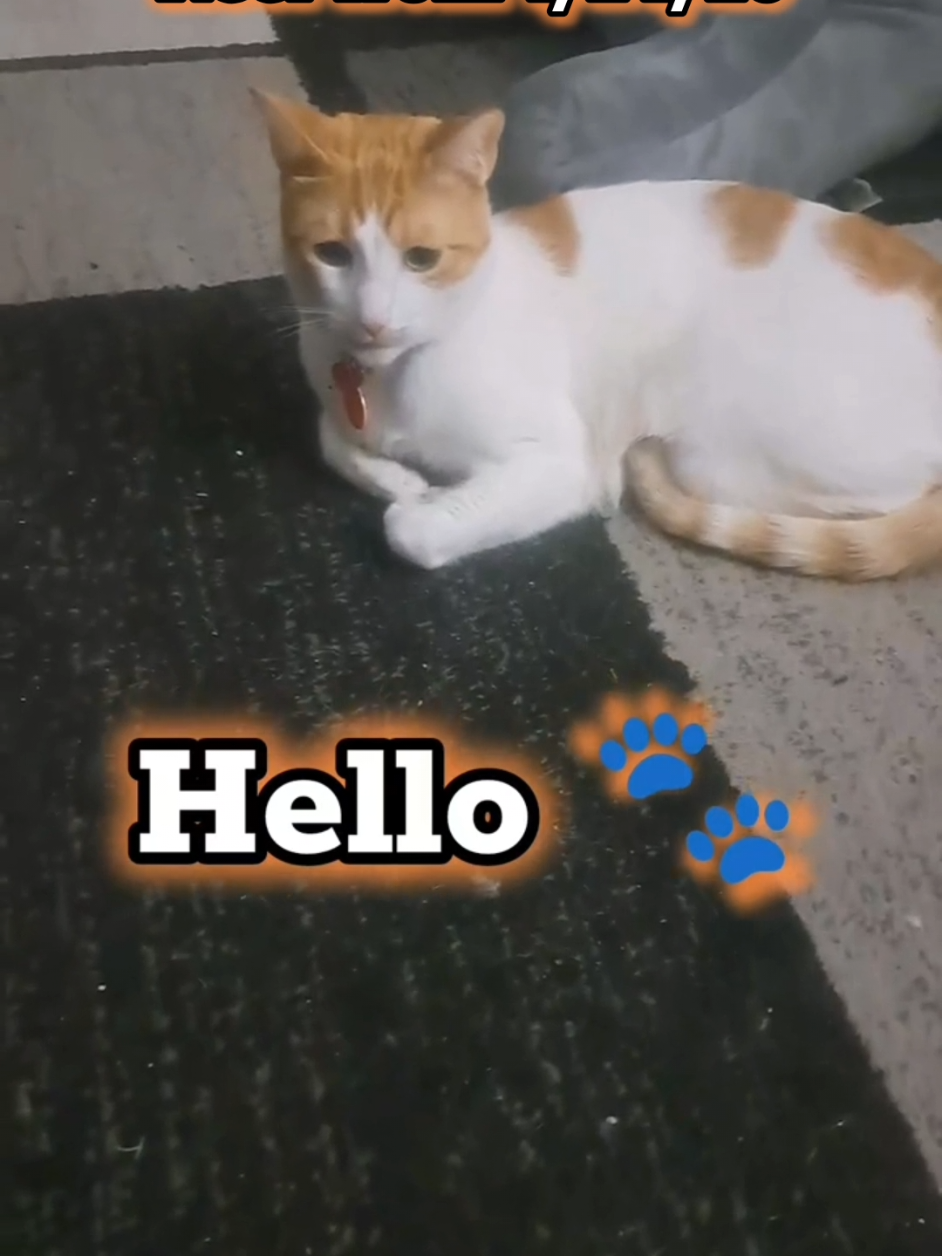 @Candice & Weasley