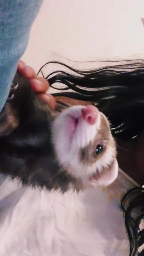 @𝐴𝑙𝑎𝑛𝑎🐾🧁