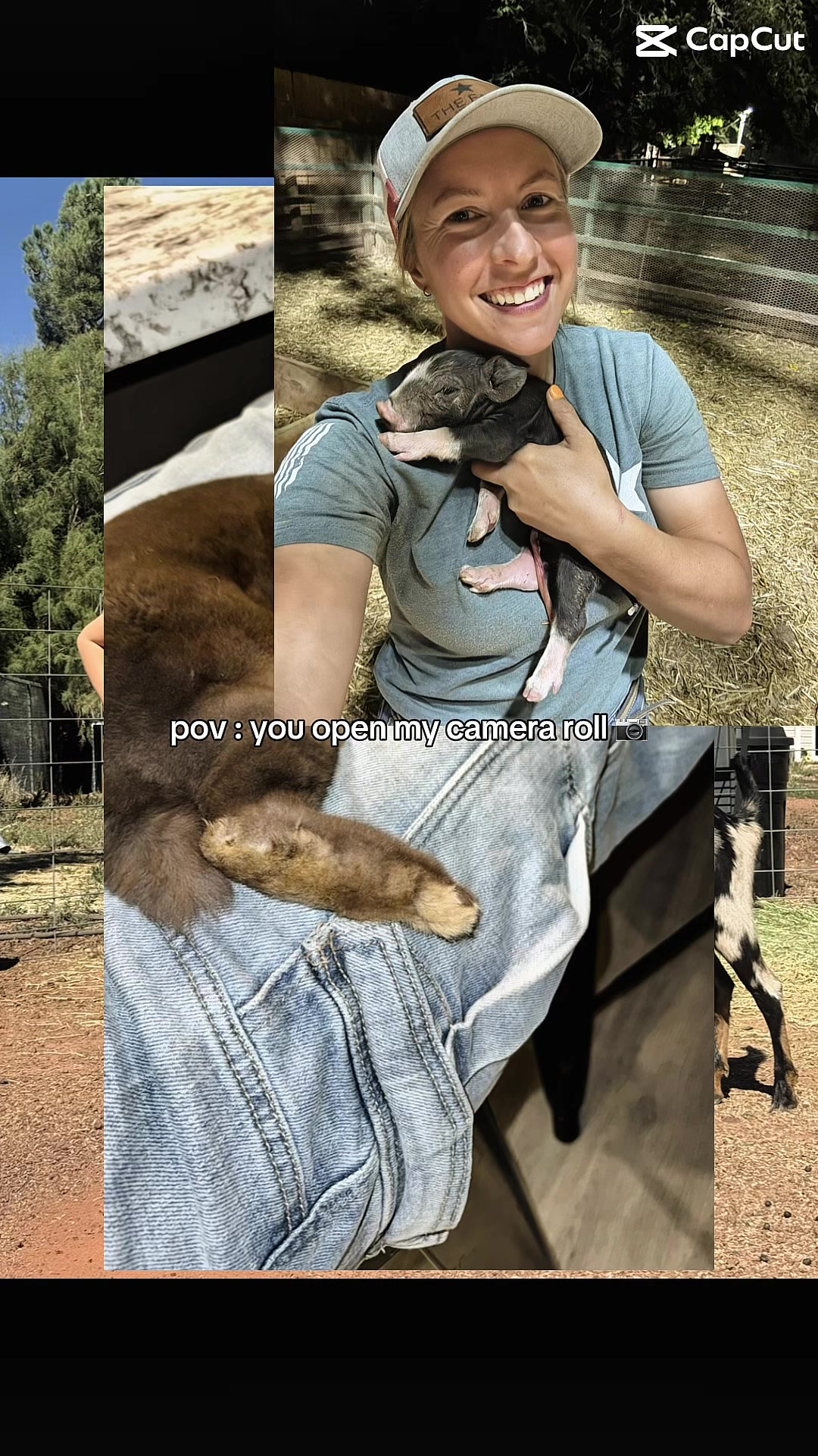 @moonbeammicrofarm