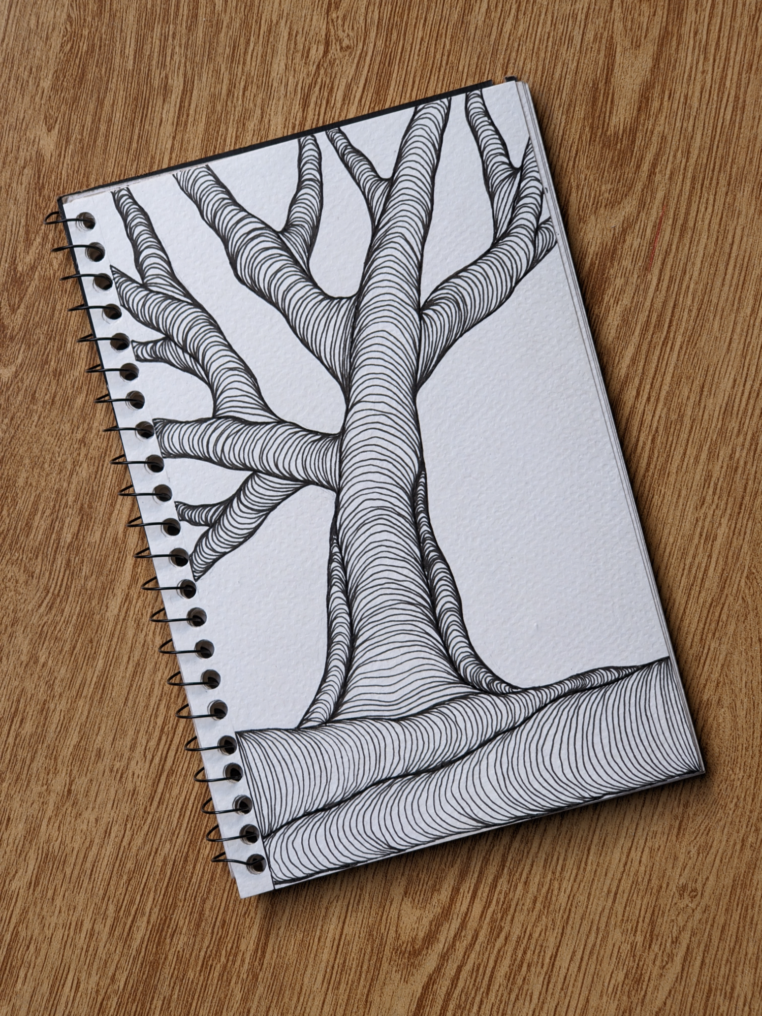 @OP Doodle Art