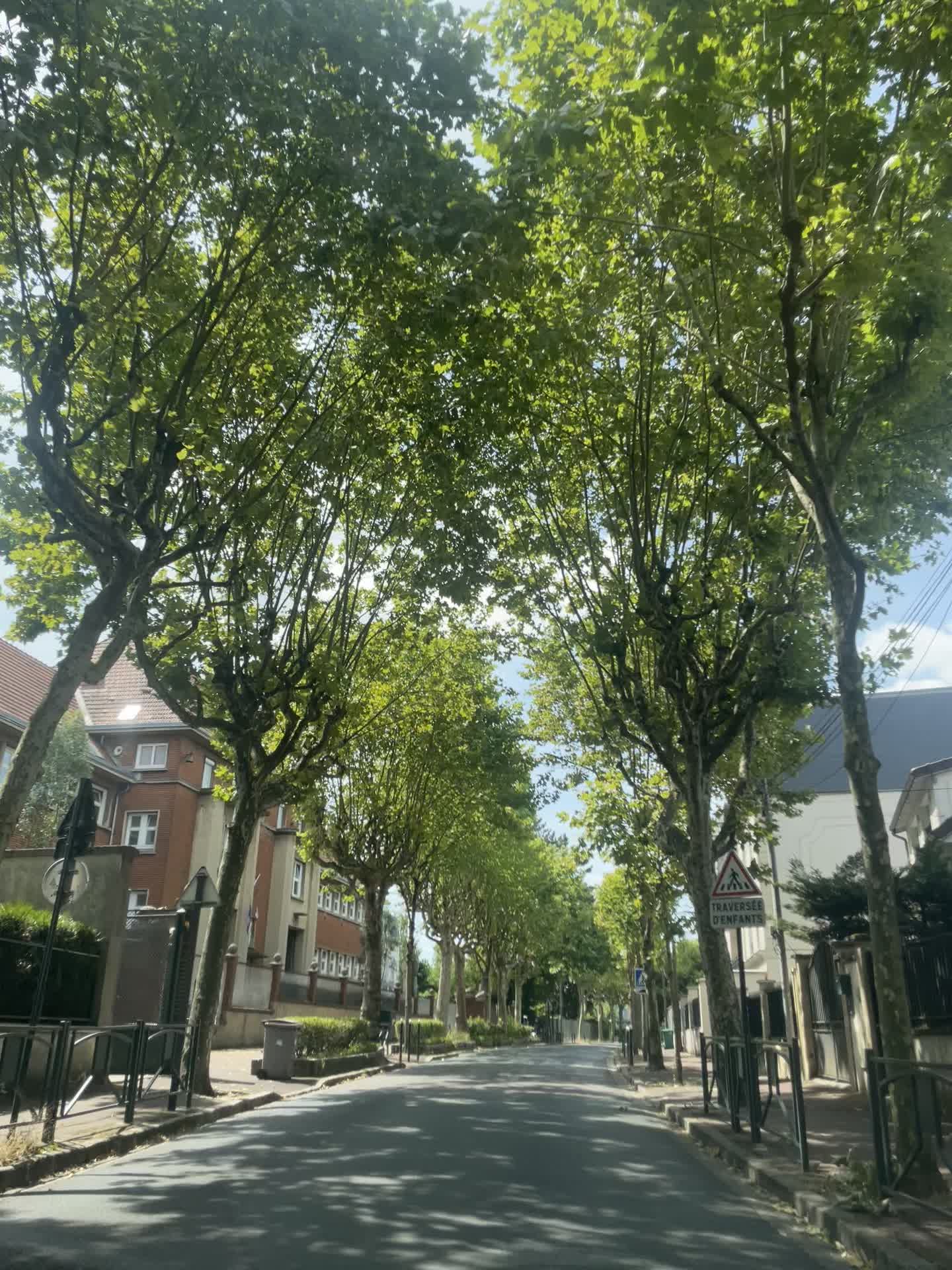 @lakadoja