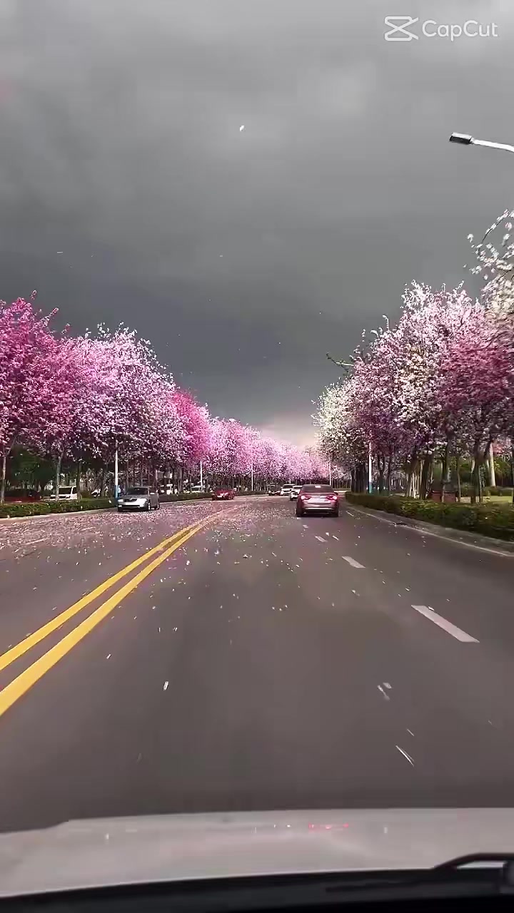 @Arooj Bukhari❣️