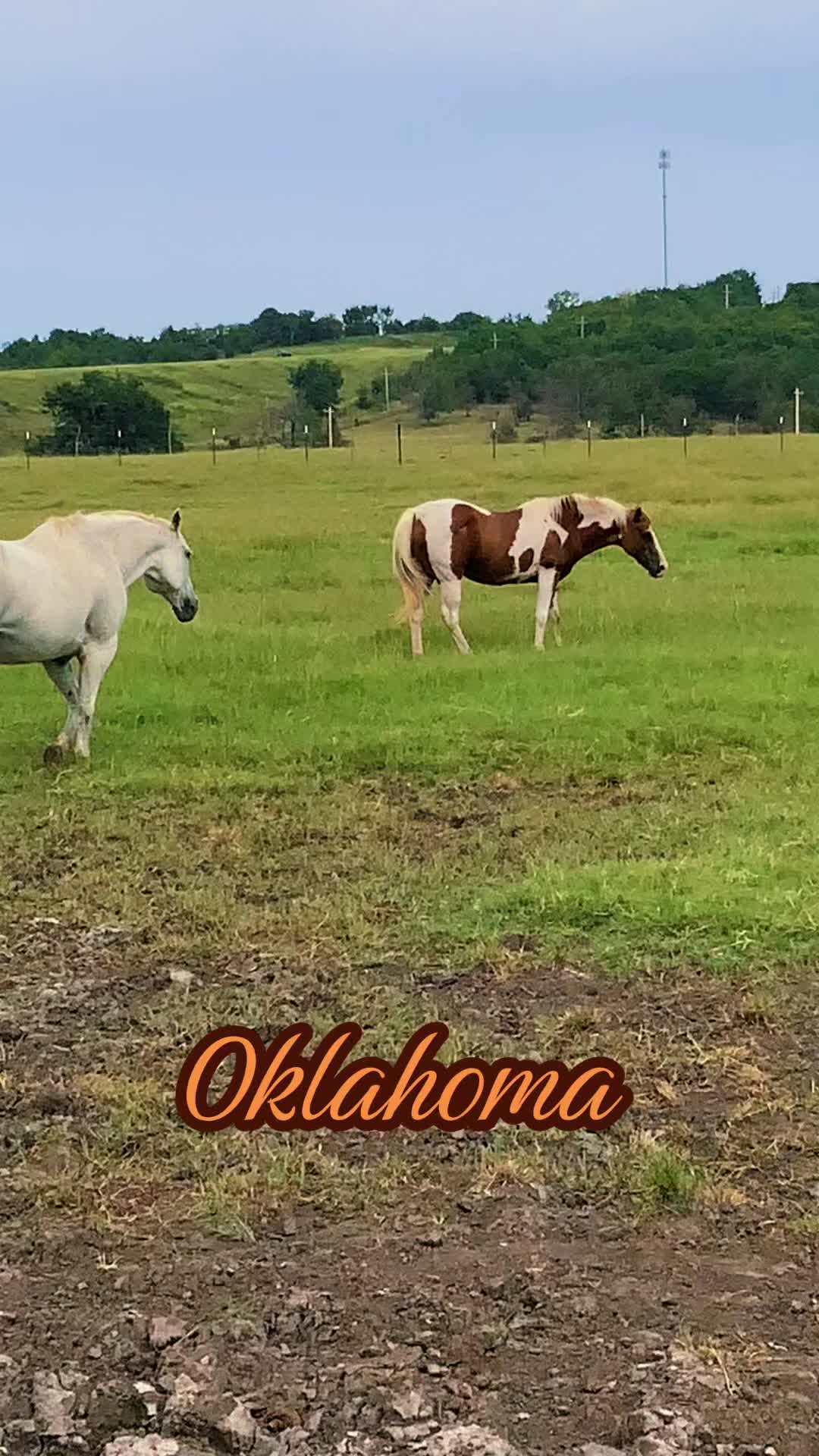 @DT in Tulsa