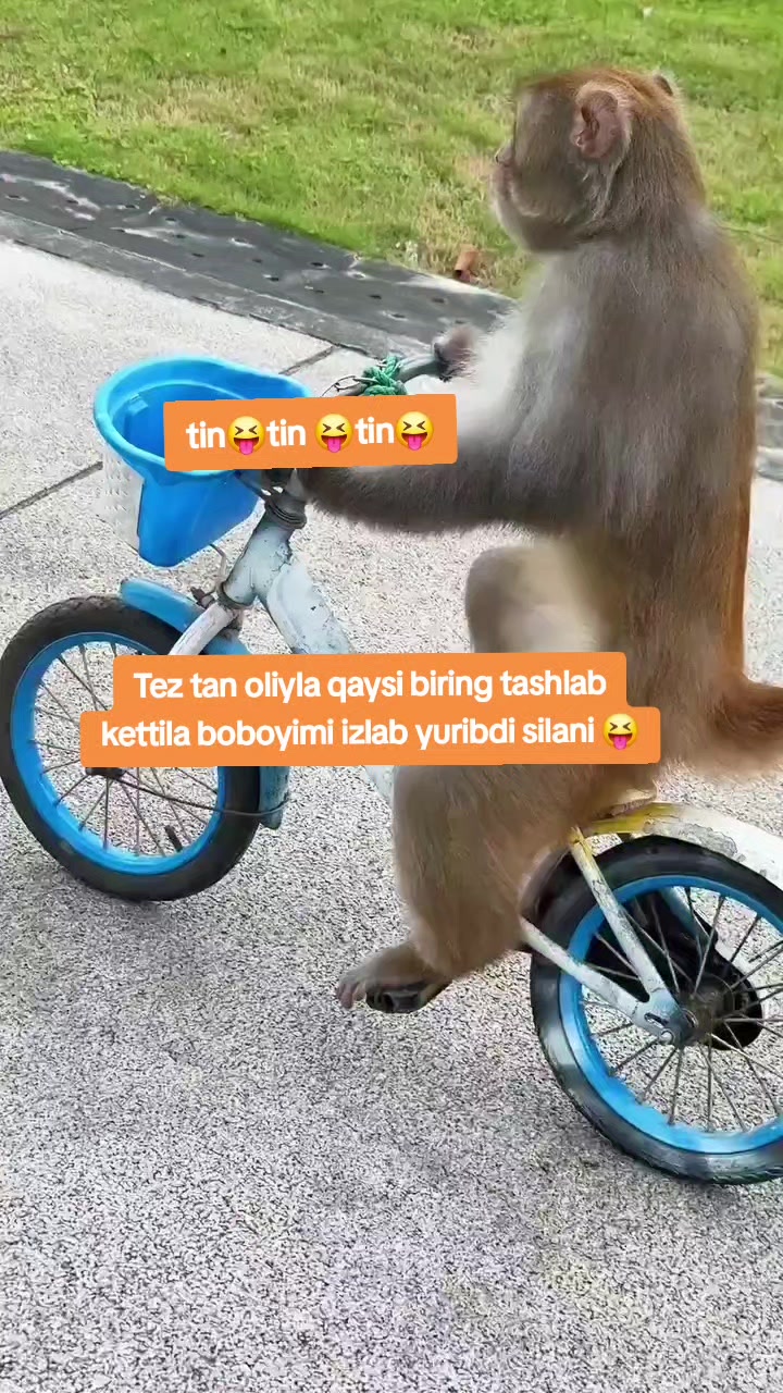@Kulochok Oyi