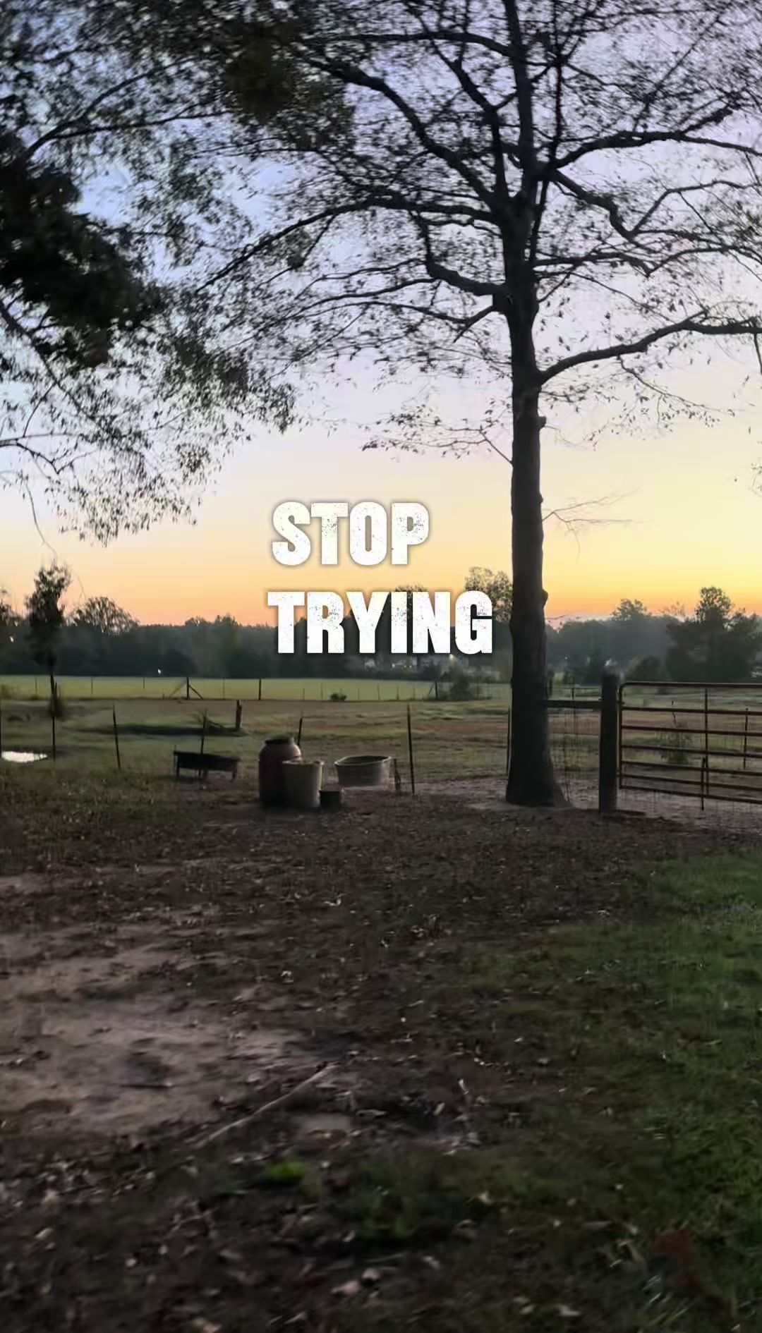 @Amanda*Western Lifestyle*