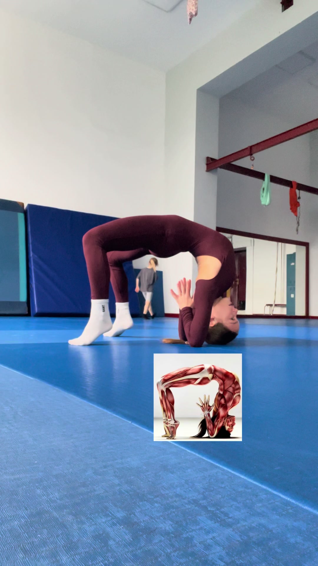 @milena.canfly