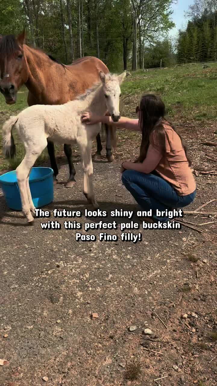 @SlowlaneFarm